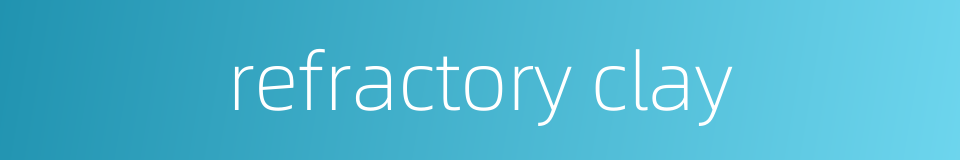 refractory clay的同义词
