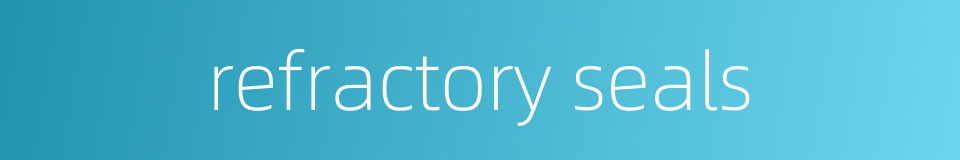 refractory seals的同义词