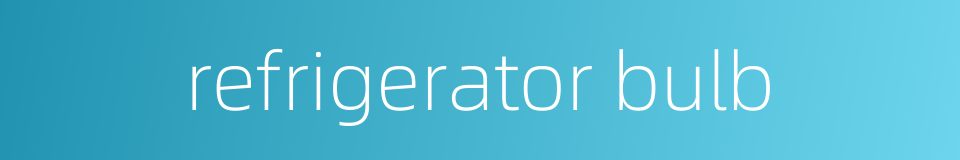 refrigerator bulb的同义词