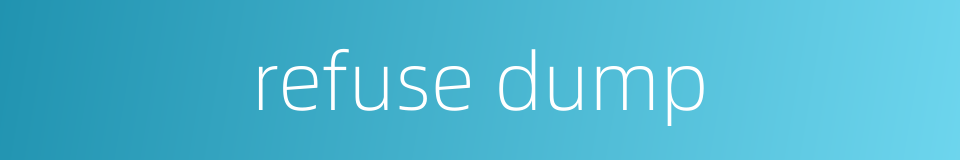 refuse dump的同义词