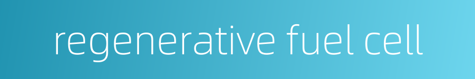 regenerative fuel cell的同义词