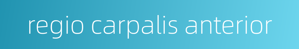 regio carpalis anterior的同义词