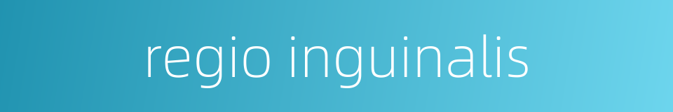 regio inguinalis的同义词