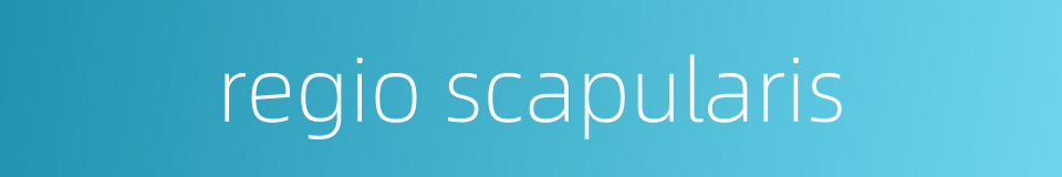 regio scapularis的同义词