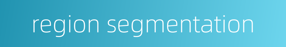 region segmentation的同义词