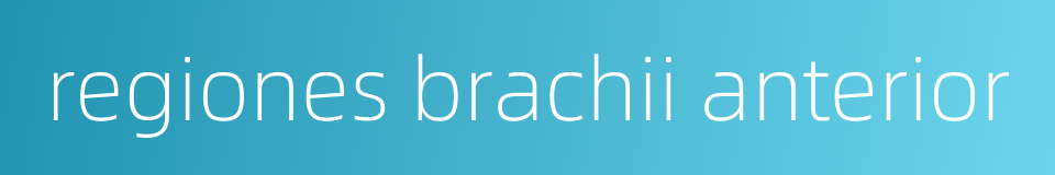 regiones brachii anterior的同义词