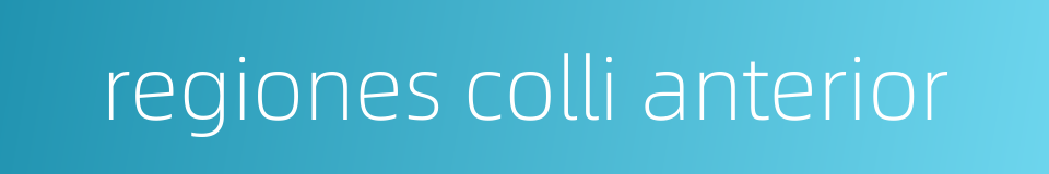 regiones colli anterior的同义词