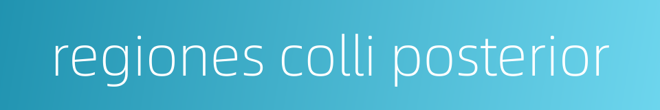 regiones colli posterior的同义词