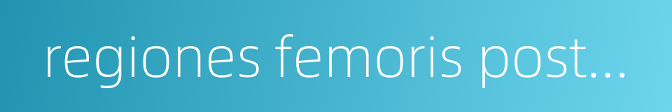 regiones femoris posterior的同义词