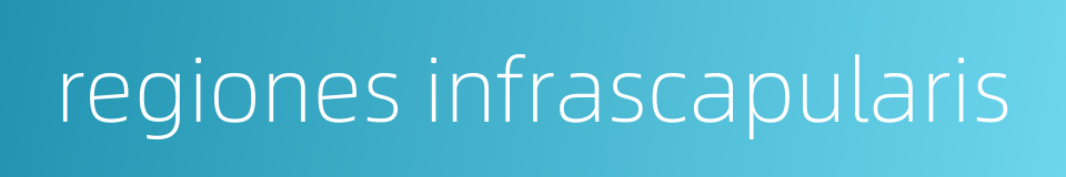 regiones infrascapularis的同义词