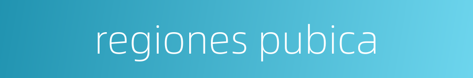 regiones pubica的同义词