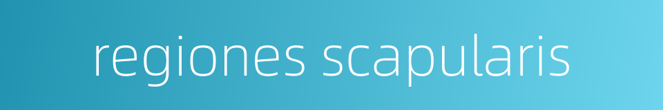 regiones scapularis的同义词