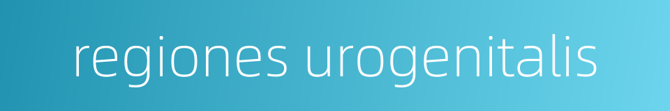 regiones urogenitalis的同义词