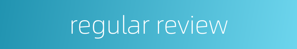 regular review的同义词