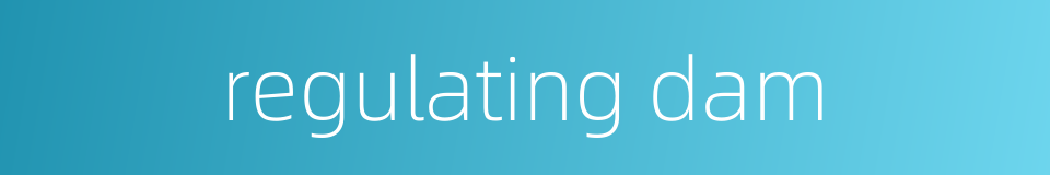 regulating dam的同义词