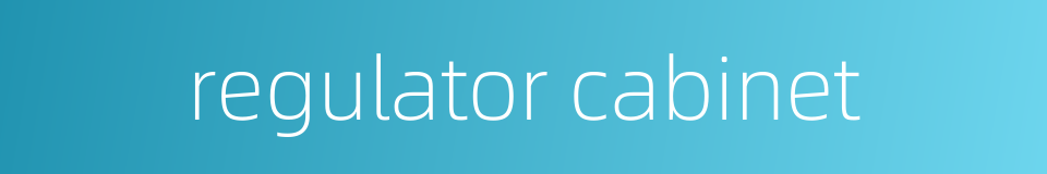 regulator cabinet的同义词