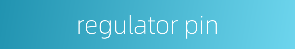 regulator pin的同义词