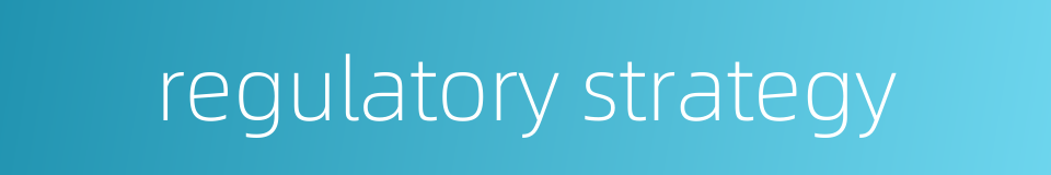 regulatory strategy的同义词