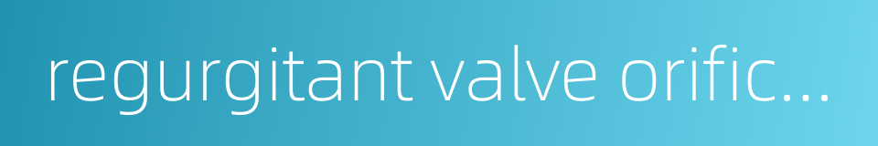 regurgitant valve orifice area的同义词