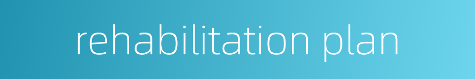 rehabilitation plan的同义词