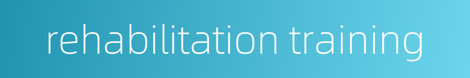 rehabilitation training的同义词