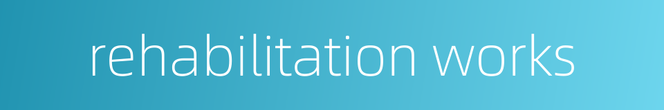 rehabilitation works的同义词