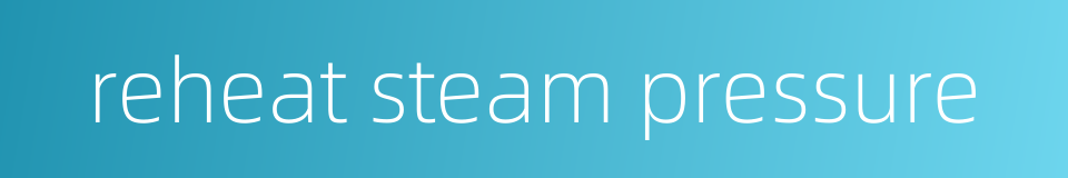 reheat steam pressure的同义词