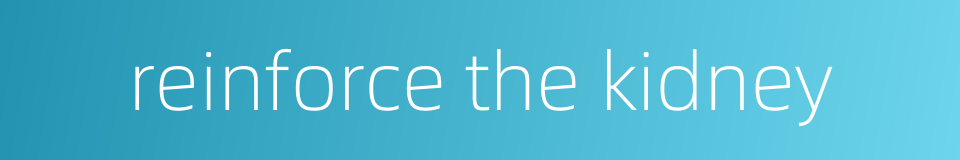 reinforce the kidney的同义词
