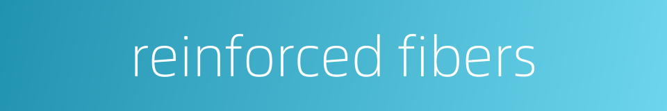 reinforced fibers的同义词