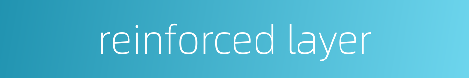 reinforced layer的同义词