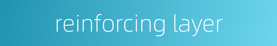 reinforcing layer的同义词
