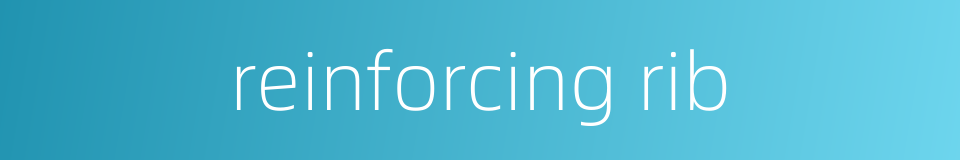 reinforcing rib的同义词