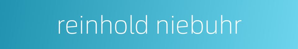 reinhold niebuhr的同义词