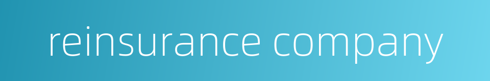 reinsurance company的同义词
