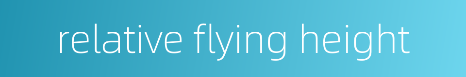 relative flying height的同义词
