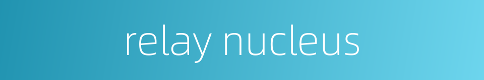 relay nucleus的同义词