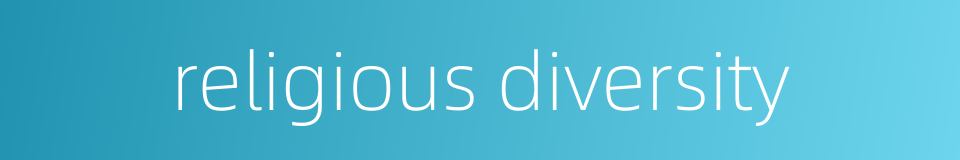 religious diversity的同义词