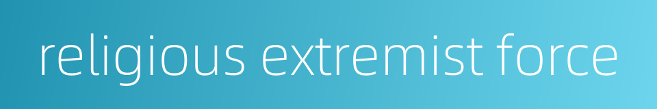 religious extremist force的同义词