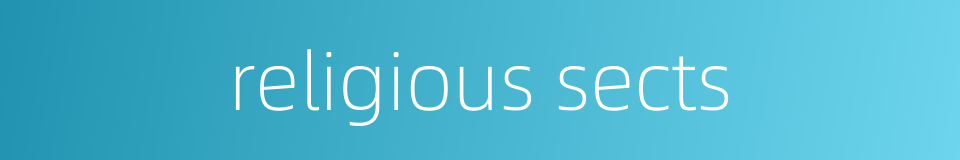 religious sects的同义词