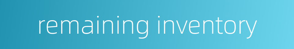 remaining inventory的同义词