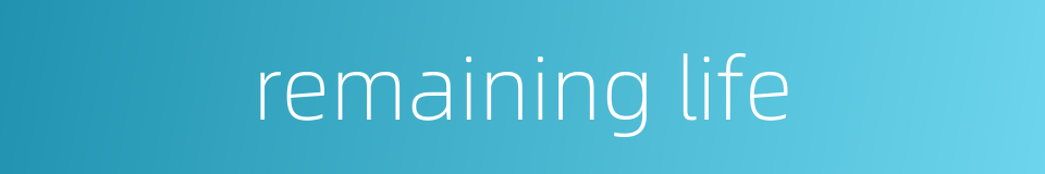 remaining life的同义词