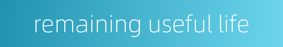 remaining useful life的同义词