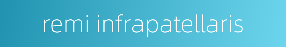 remi infrapatellaris的同义词