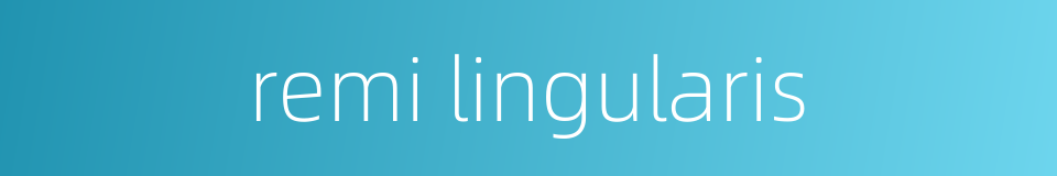 remi lingularis的同义词