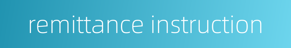remittance instruction的同义词