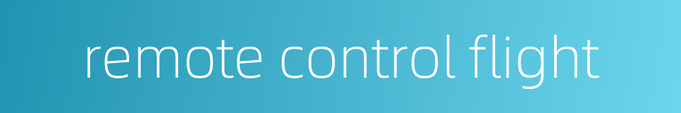 remote control flight的同义词