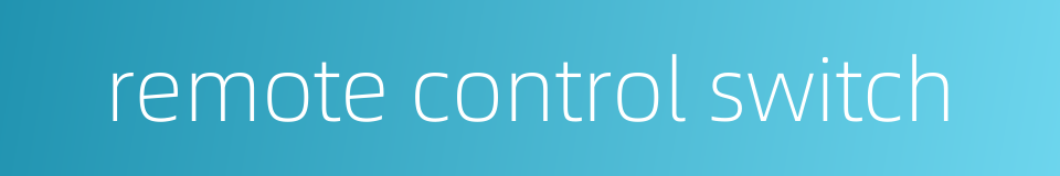 remote control switch的同义词