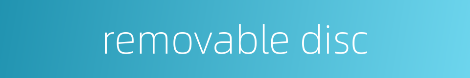 removable disc的同义词