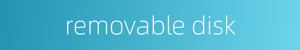 removable disk的同义词