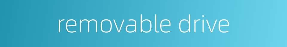 removable drive的同义词